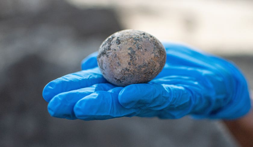 Các nhà khảo cổ vui sướng phát hiện quả trứng 1.000 năm tuổi nhưng họ phải &quot;rơi nước mắt&quot; ngay sau đó - Ảnh 1.