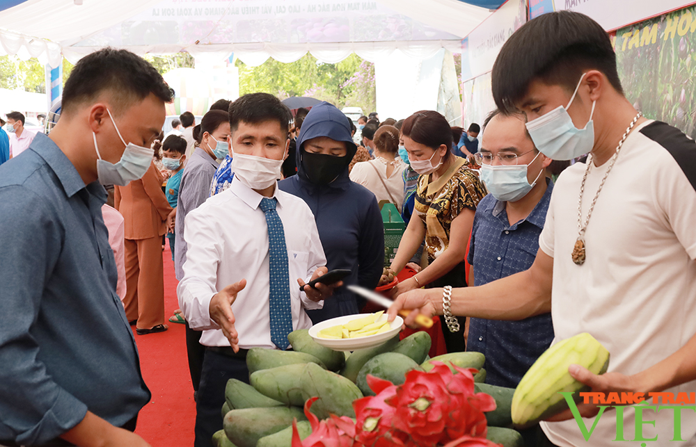 3 tỉnh Lào Cai - Bắc Giang - Sơn La: &quot;Bắt tay&quot; tiêu thụ 70 tấn quả vải thiều, xoài, mận tam hoa Bắc Hà - Ảnh 4.