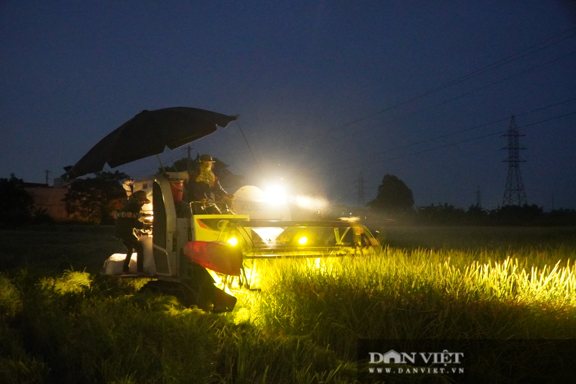Bắc Ninh: Cận cảnh gắt lúa trong đêm giúp dân vùng tâm dịch Covid-19 Khắc Niệm - Ảnh 1.
