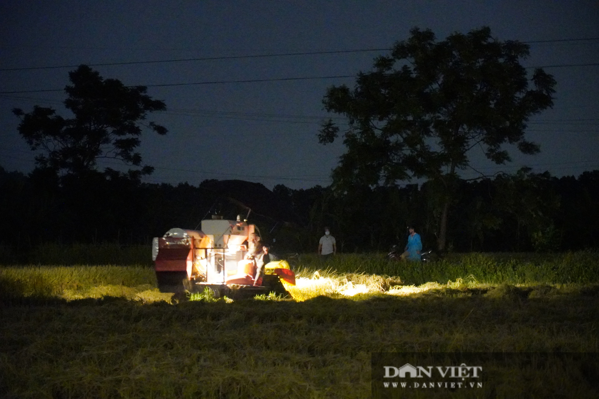 Bắc Ninh: Cận cảnh gắt lúa trong đêm giúp dân vùng tâm dịch Covid-19 Khắc Niệm - Ảnh 3.