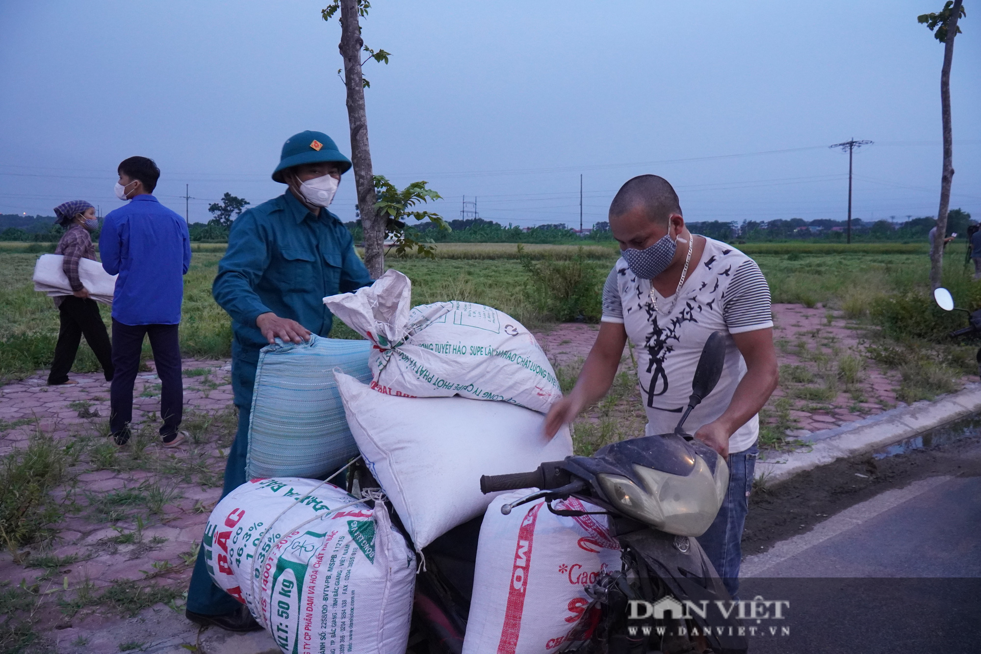 Bắc Ninh: Cận cảnh gắt lúa trong đêm giúp dân vùng tâm dịch Covid-19 Khắc Niệm - Ảnh 8.