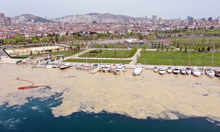 Thổ Nhĩ Kỳ “tuyên chiến” với “thảm họa chất nhầy”, cứu vùng biển lãng mạn Marmara - Ảnh 3.