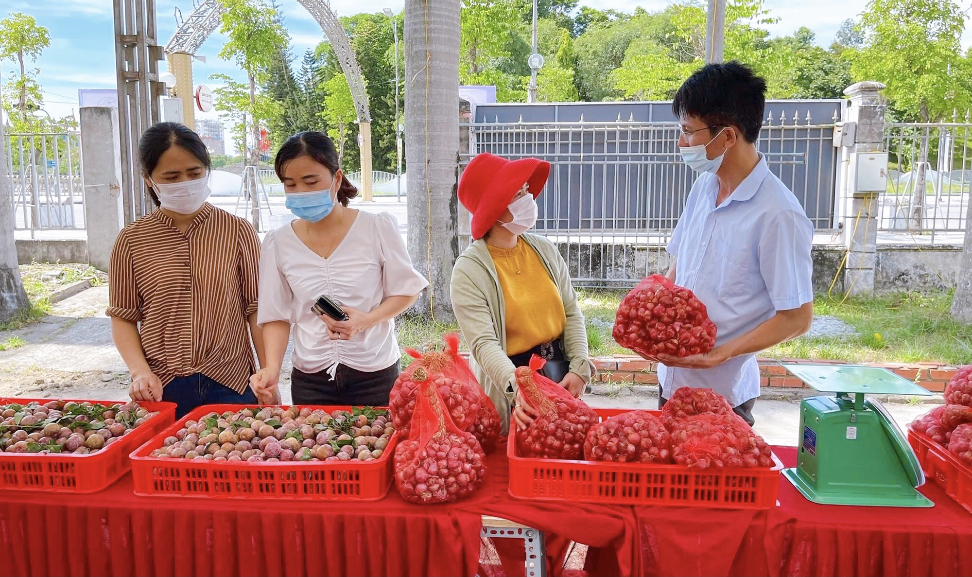 Kết nối yêu thương, tiêu thụ nông sản - Ảnh 9.