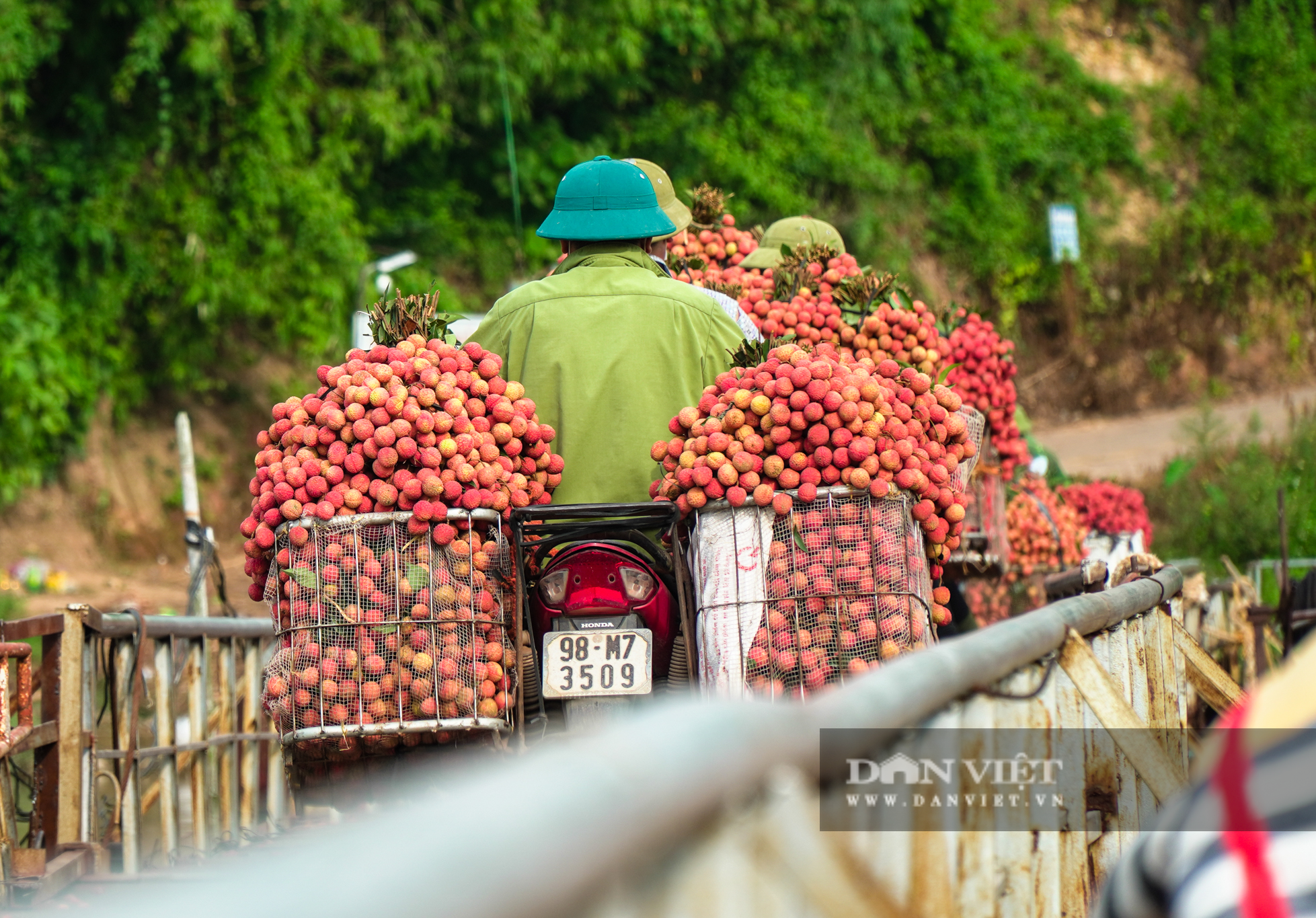 Nông sản đầu tiên của Việt Nam được chỉ dẫn đại lý tại Nhật Bản - Ảnh 2.