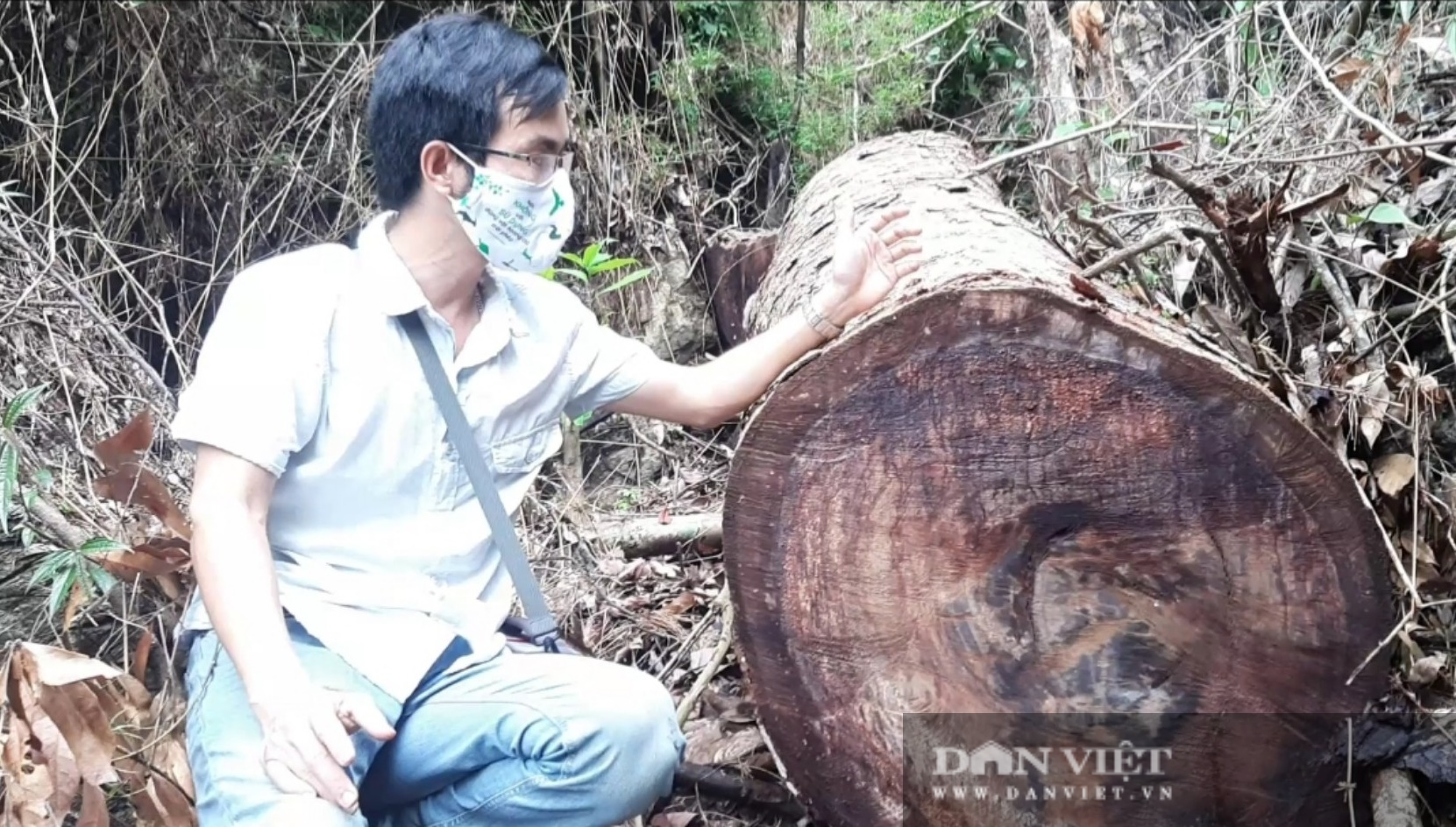 Chủ tịch UBND tỉnh Hà Giang vào hiện trường vụ phá rừng nghiến ở VQG Du Già - Ảnh 5.