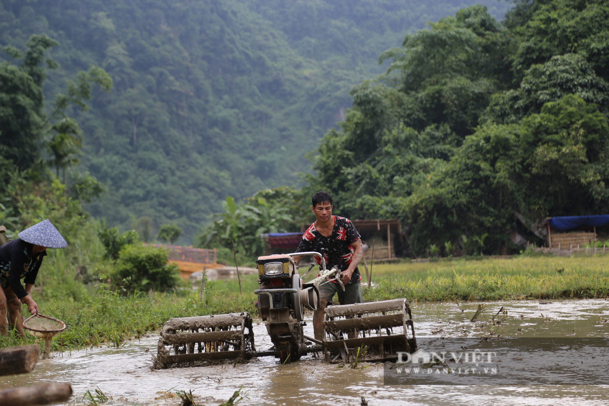 Mùa vàng trên đỉnh Pù Luông - Ảnh 15.