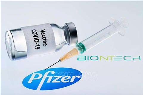 Bộ Y tế phê duyệt có điều kiện vắc xin Covid-19 của hãng Pfizer - Ảnh 1.