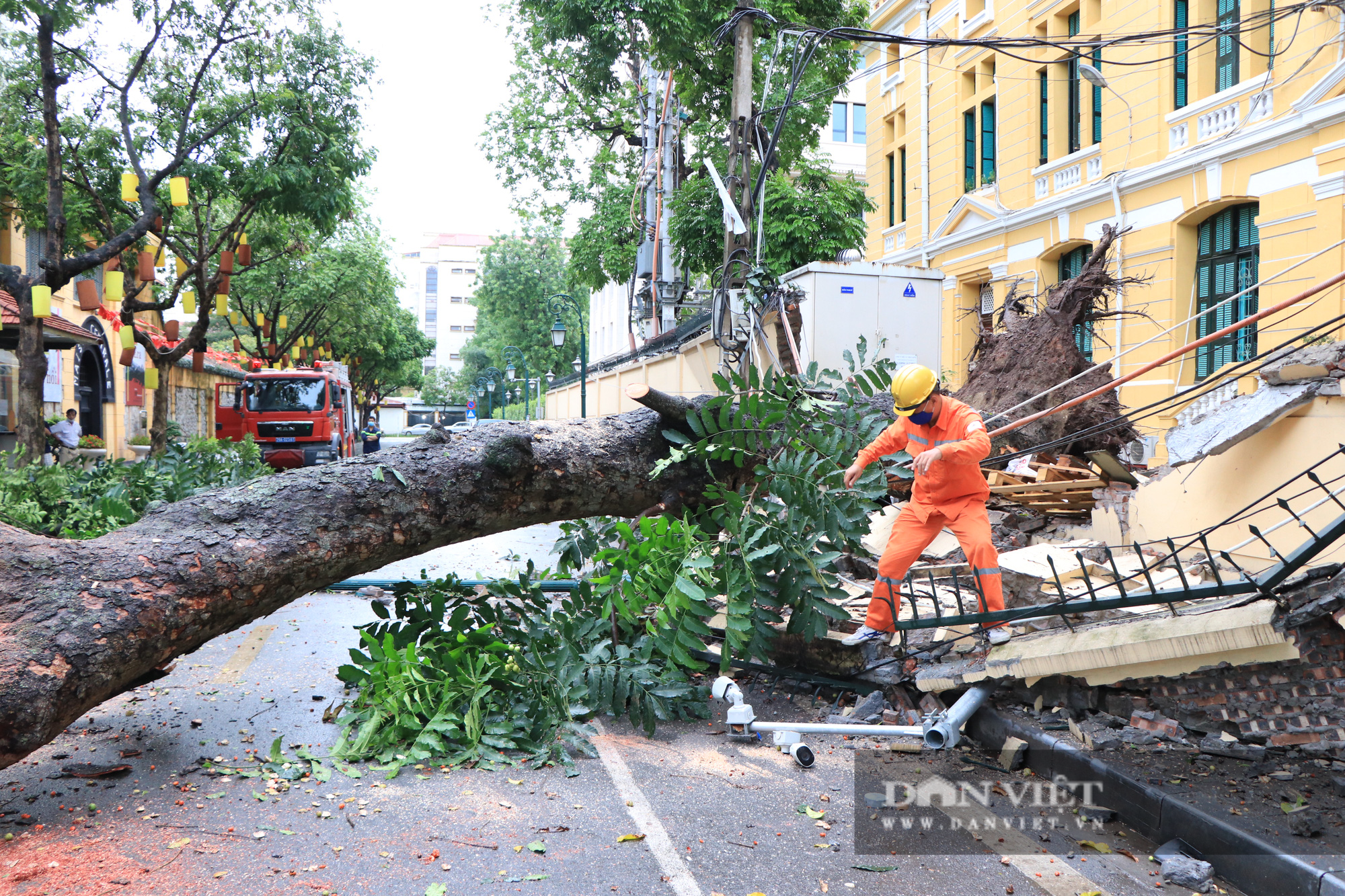 Nóng: Cây cổ thụ ở trụ sở Toà án Tối cao bất ngờ bật gốc, đổ sập tường sau gió lớn - Ảnh 2.