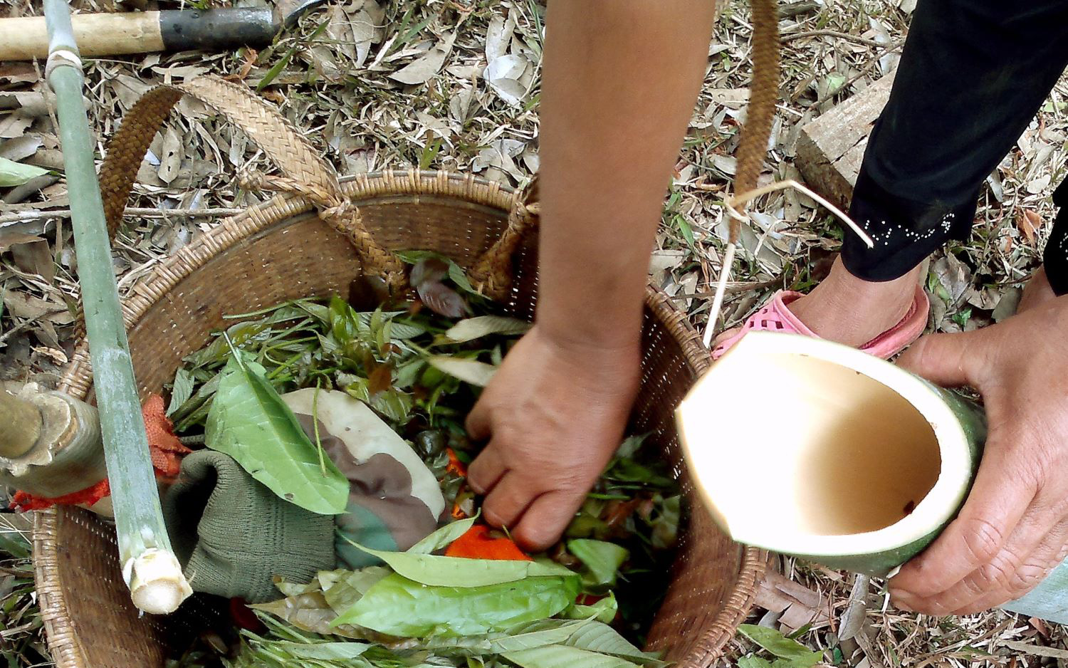 Bình Phước: Rau bép-rau lạ đặc sản thêm 1-2 con cá suối thì 10 người ăn thì cả 10 người đều tấm tắc khen ngon