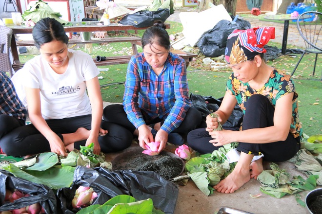 Ninh Bình: Nhân viên du lịch hái hoa sen, gặt lúa để có thêm thu nhập - Ảnh 1.