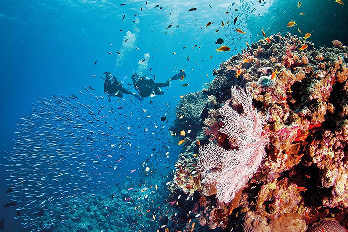 “Thiên đường biển” Great Barrier Reef trong nét văn hóa tâm linh của các chủ nhân truyền thống - Ảnh 11.
