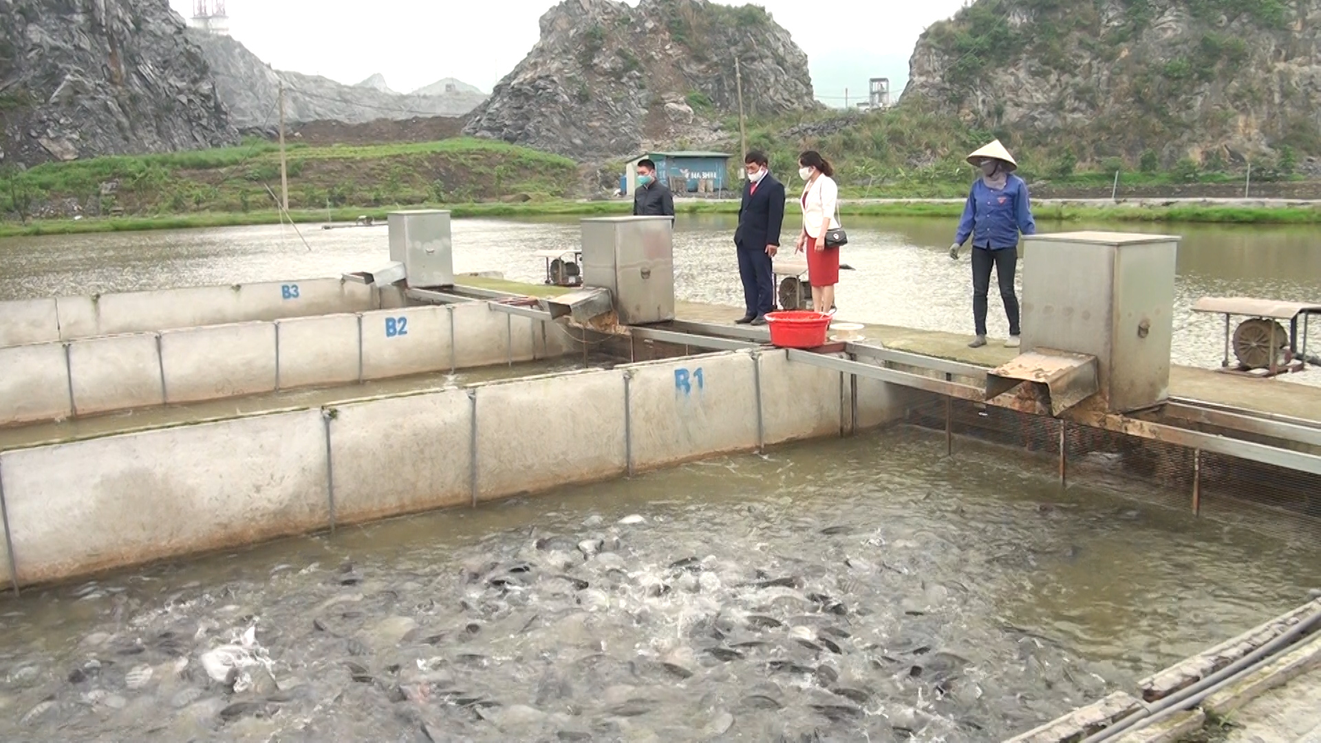 Loài cá đắt tiền ăn ngon hơn vào mùa đông lại là thần dược cho phái mạnh  cứ nuôi là thu bộn tiền