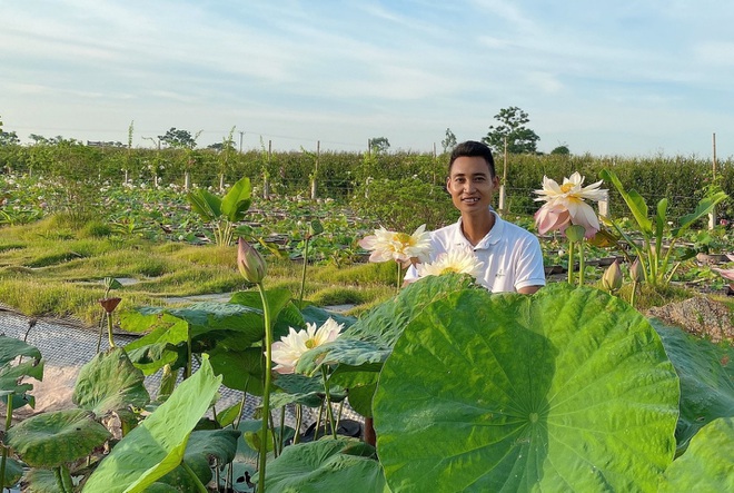 Choáng ngợp &quot;đầm sen cạn&quot; hơn 10.000 chậu của chàng trai quê lúa - Ảnh 3.