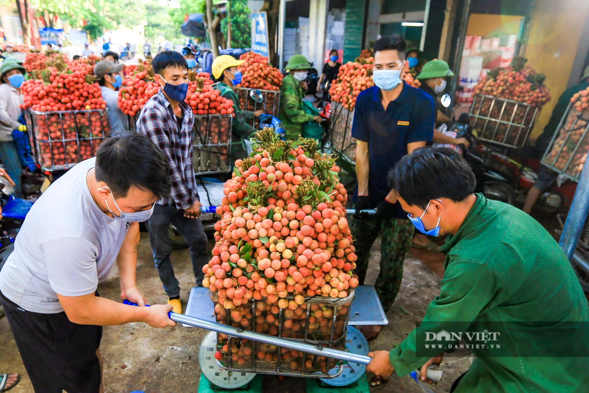 Chiều nay diễn ra Toạ đàm trực tuyến: &quot;Giải pháp thúc đẩy mô hình kết nối cung - cầu nông sản chính quy&quot; - Ảnh 2.