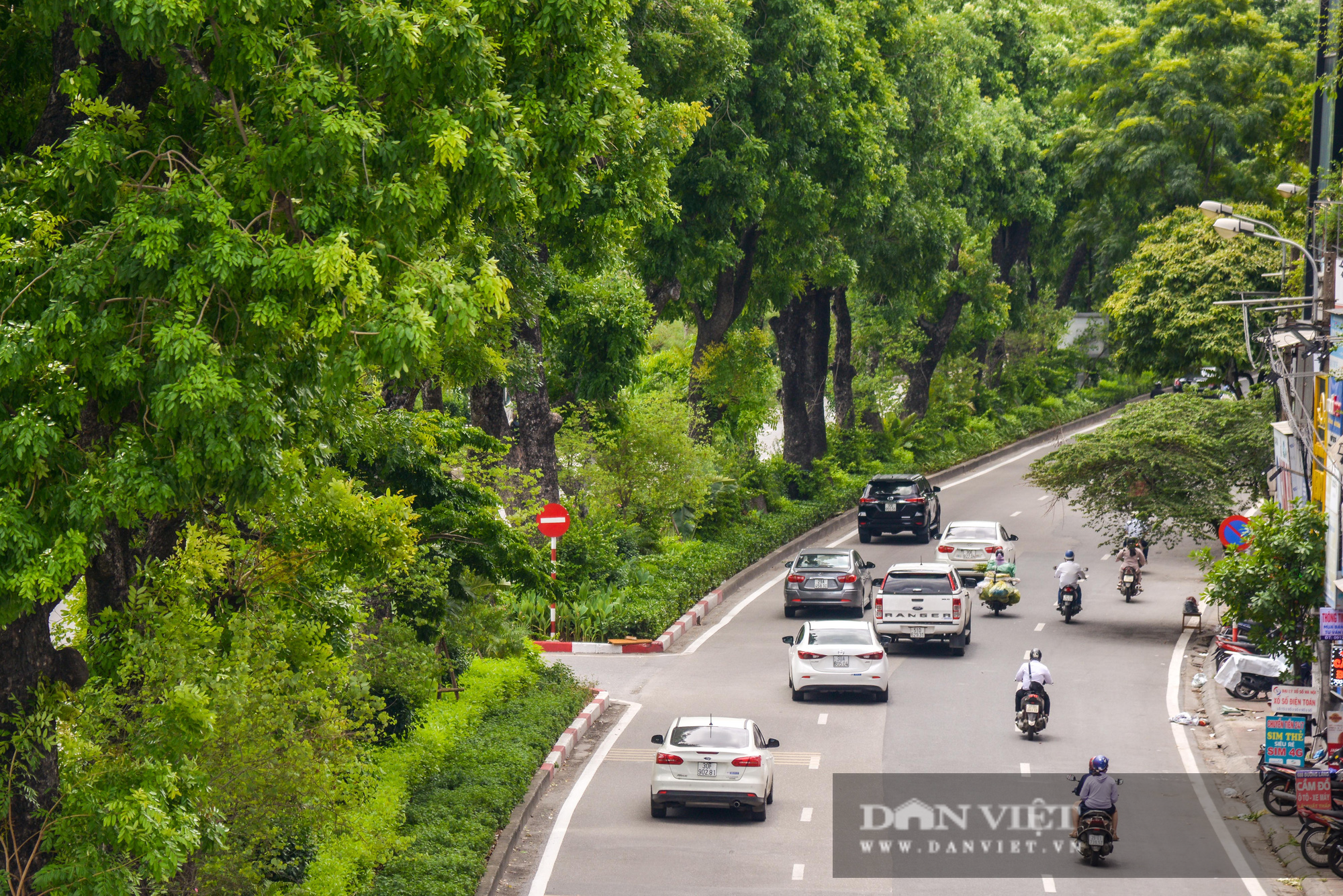 Các tuyến đường Hà Nội hạ nhiệt trong ngày nóng nhờ &quot; dàn điều hòa xanh&quot; - Ảnh 12.