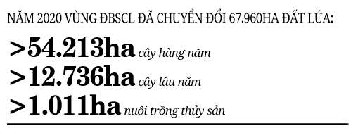 Vựa lúa sống cùng nỗi lo cây - con mới (bài cuối): Xây dựng chiến lược cho các sản phẩm chủ lực  - Ảnh 2.