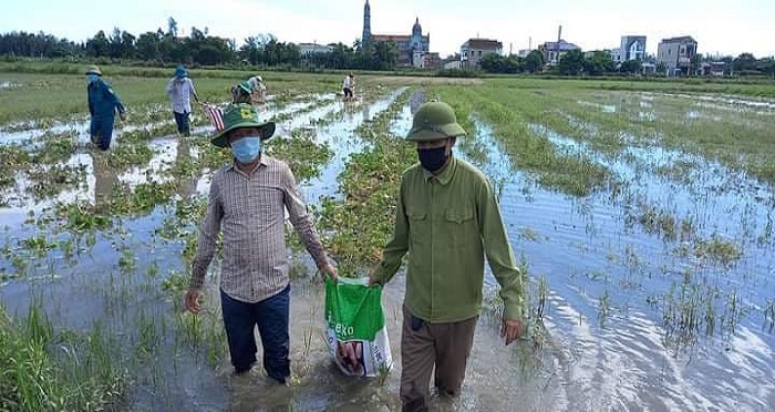 Hà Tĩnh: Chiến sĩ Công an… xắn quần xuống ruộng thu hoạch khoai lang giúp dân vùng tâm dịch - Ảnh 4.