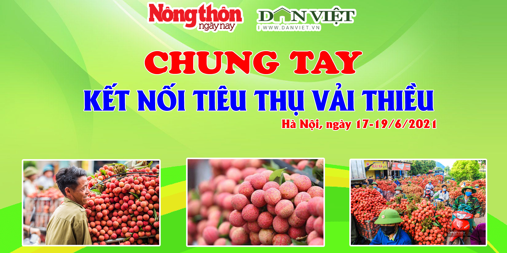 Đặt hàng vải thiều Lục Ngạn từ 2 giờ sáng - Ảnh 2.