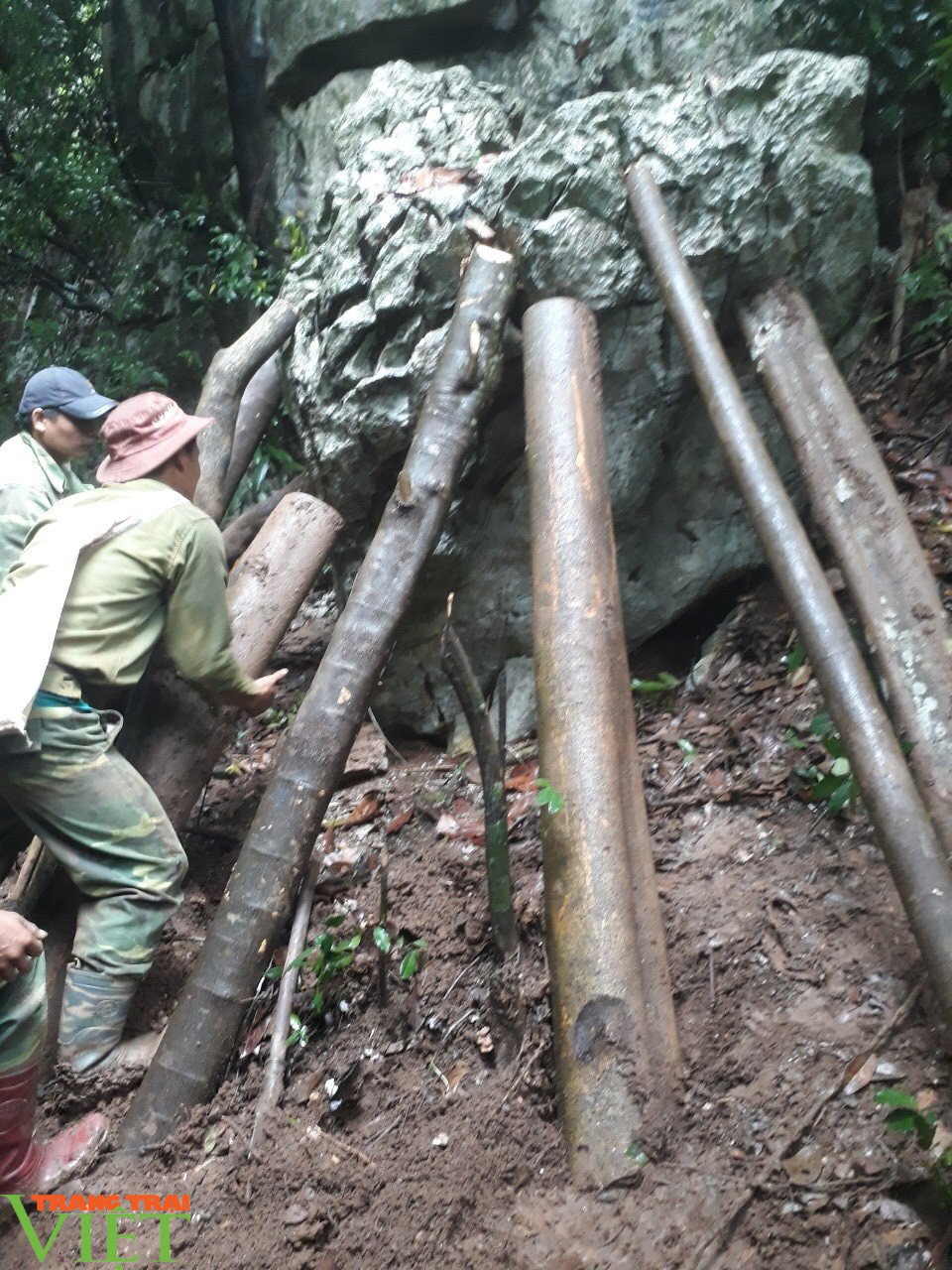 Thành phố Sơn La: Phòng chống nguy cơ đá lăn trước mùa mưa, lũ - Ảnh 2.