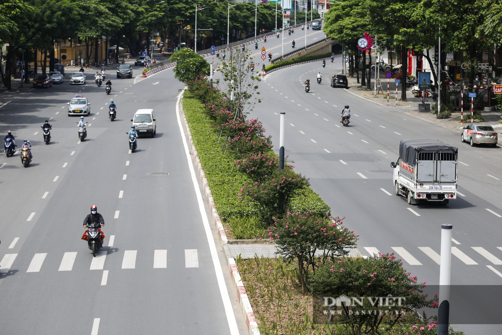 Hàng cây phong lá đỏ tại Hà Nội bỗng &quot;hồi sinh&quot; giữa mùa hè - Ảnh 8.