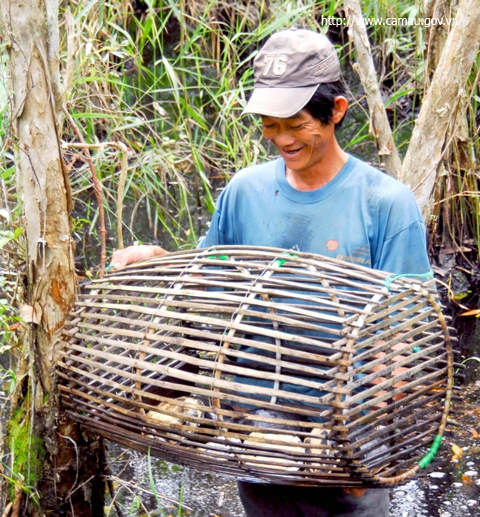 Khám phá rừng tràm U Minh Hạ - Ảnh 2.