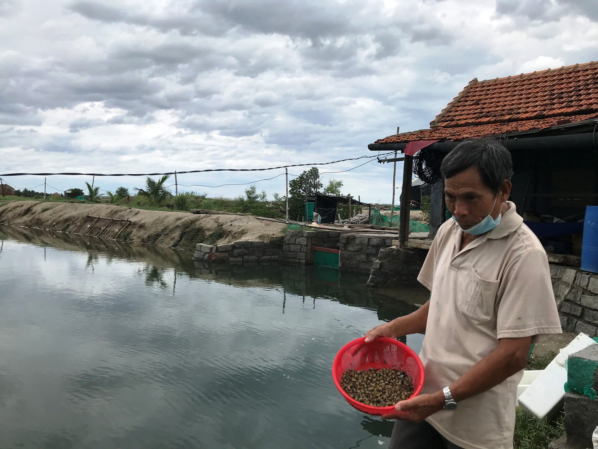 Có vốn Agribank, người nuôi ốc hương ở Khánh Hòa đổi đời - Ảnh 1.