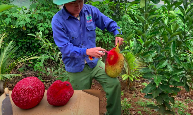 Việc trồng và chăm sóc một khu vườn đẹp không chỉ giúp cải thiện không gian sống mà còn giúp tinh thần của chúng ta trở nên tươi vui hơn. Các loại cây trang trí, hoa, thảm cỏ và hồ cá sẽ mang lại sự thư giãn và thoải mái cho bạn và gia đình.