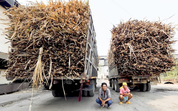 Ngành mía đường Thái Lan phản ứng về thuế chống bán phá giá, dù nhiều đề nghị trước đây bị bác bỏ