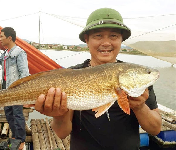 Sự thật về Sủ vàng – loài cá quý hàng tỷ đồng ở Việt Nam - Ảnh 6.