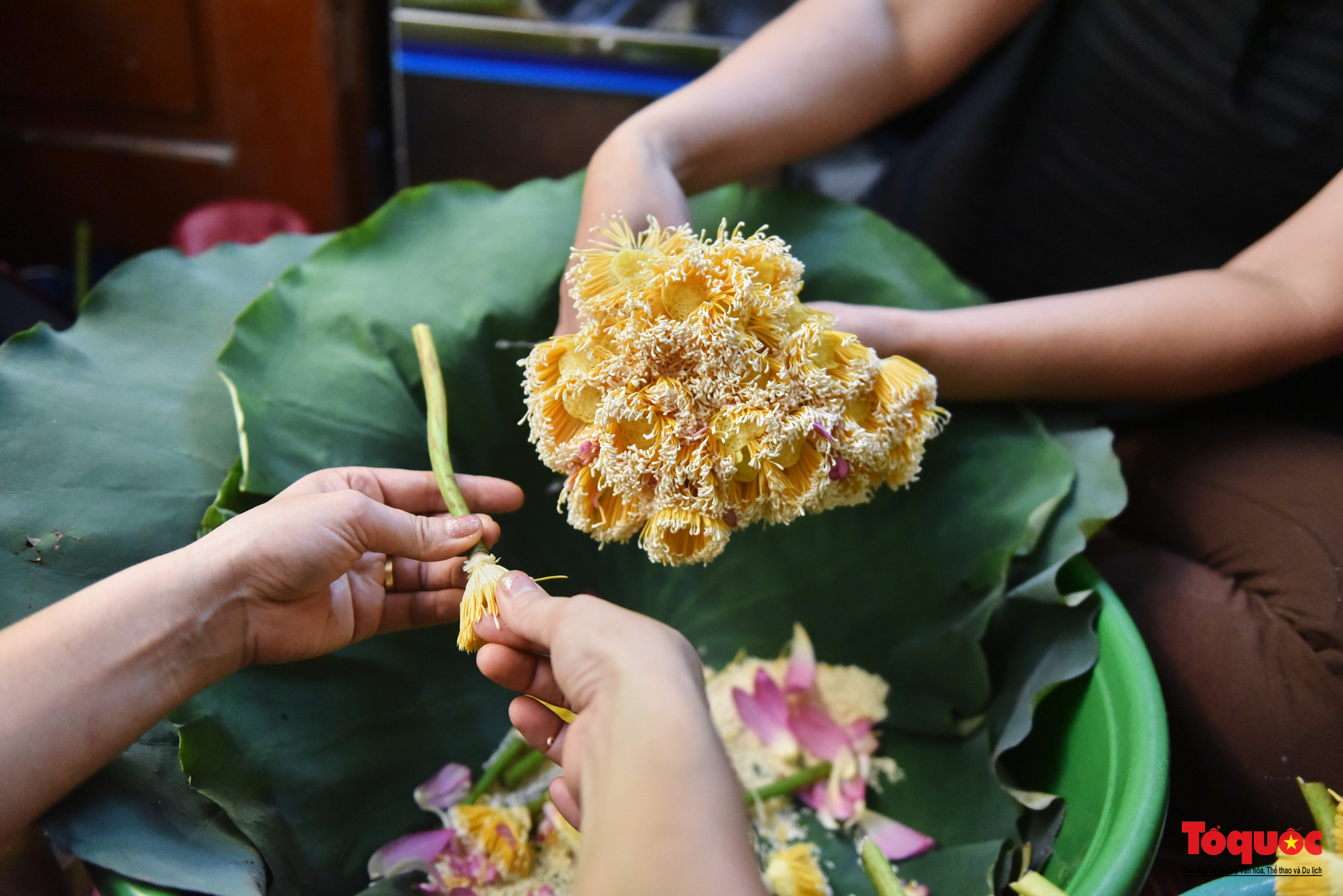  Gia đình Hà Nội suốt 70 năm làm trà ướ sen thứ trà hảo hạng, giá cả chục triệu/kg - Ảnh 5.