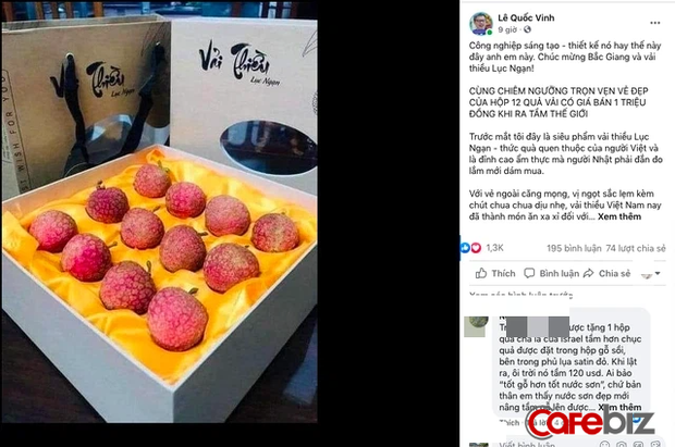 Siêu phẩm vải thiều Lục Ngạn Việt Nam: Đóng gói như tổ yến, 1 triệu đồng mới mua được 1 hộp 12 quả - Ảnh 1.
