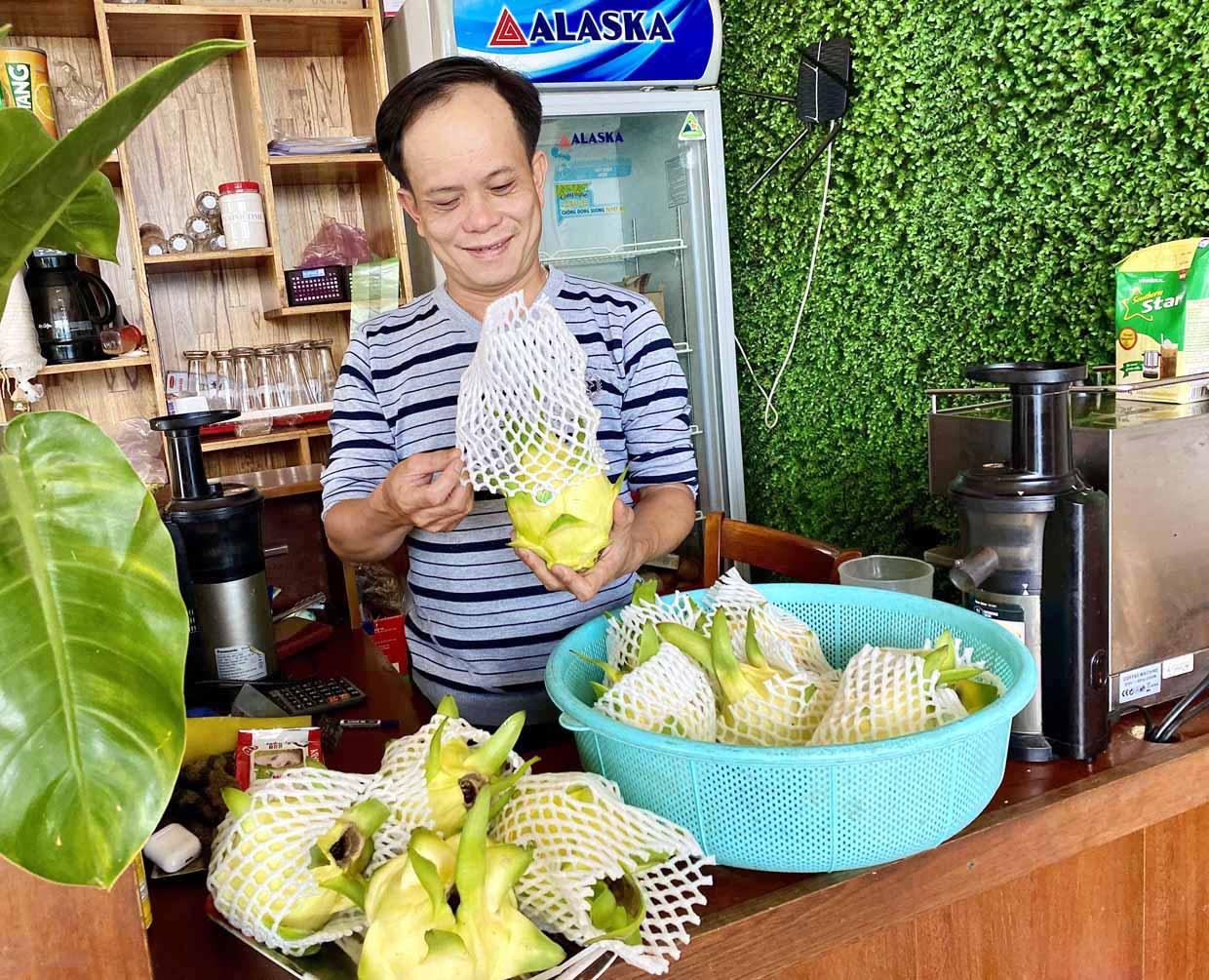 Gia Lai: Trồng giống thanh long lạ, ruột trắng sữa, trong như thạch, giá cao ngất phải đặt mua mới có - Ảnh 3.