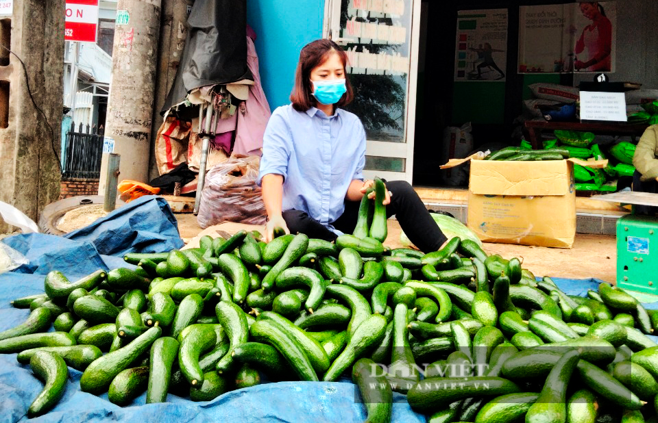 Tây Nguyên: Nông sản đồng loạt rớt giá, ùn ứ - Ảnh 1.