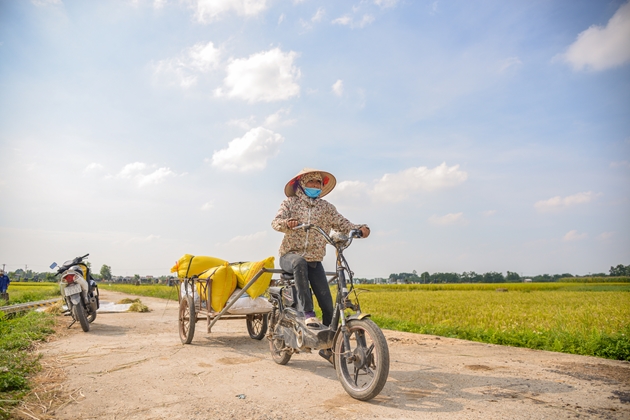 Ngày ông trời “đổ lửa”, nắng như thiêu như đốt, nông dân Thủ đô vẫn ra đồng thu hoạch lúa - Ảnh 7.