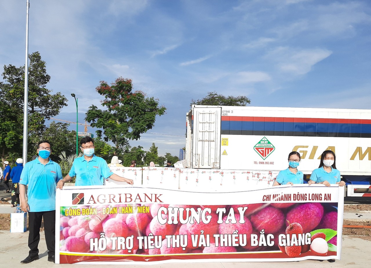 Các Chi nhánh Agribank khu vực Tây Nam Bộ chung tay hỗ trợ Bắc Giang tiêu thụ Vải thiều - Ảnh 1.