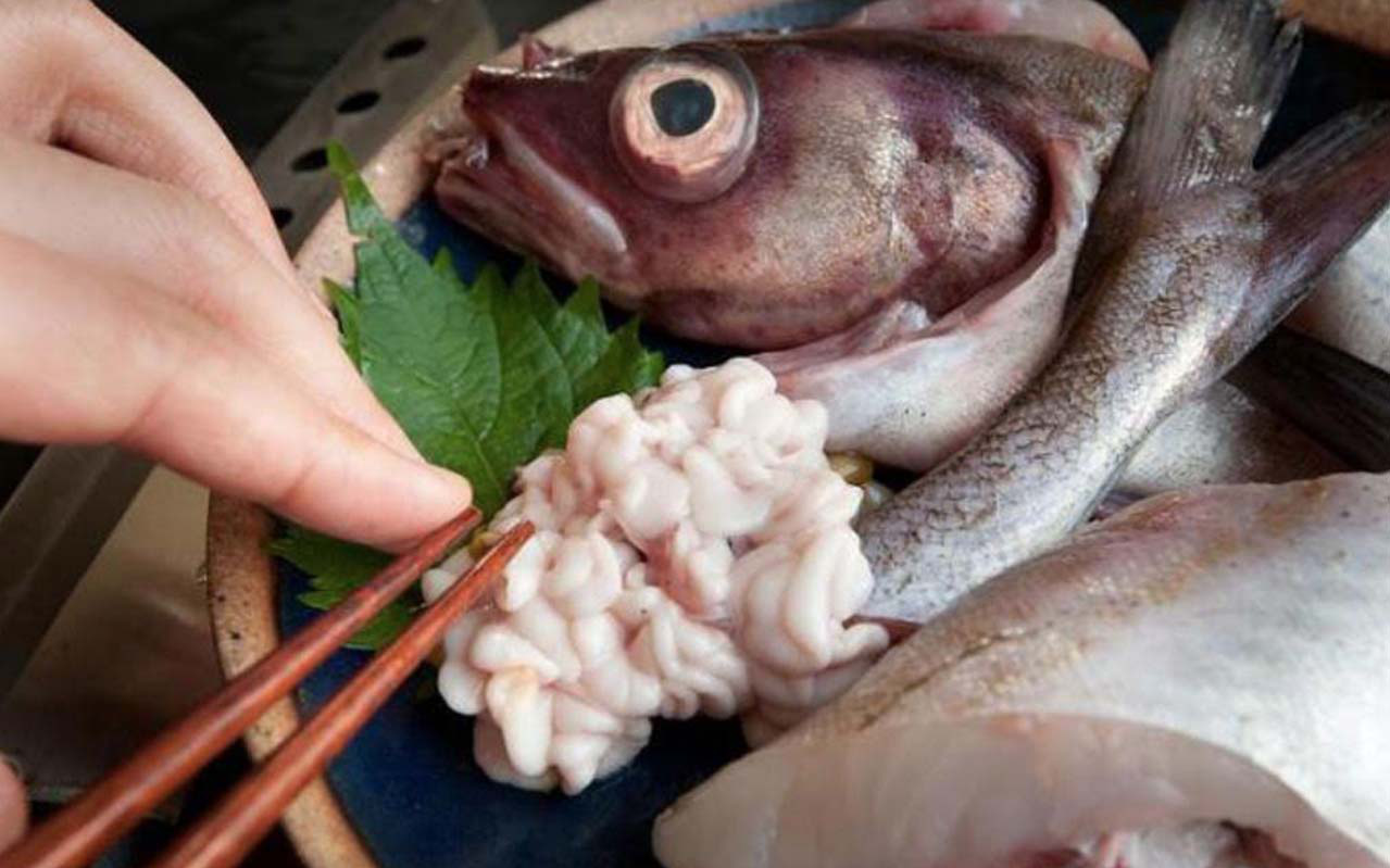 Nhật Bản: Bí quyết đàn ông gia tăng chuyện chăn gối nhờ vào bộ phận này của cá biển