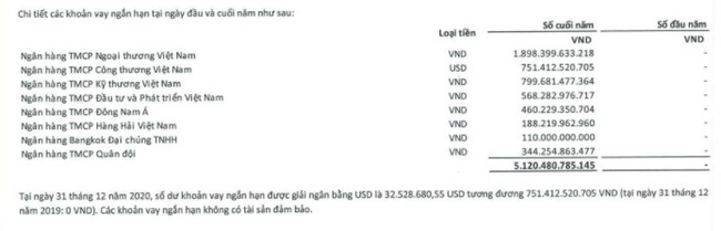 Trước nguy cơ phá sản, Vietnam Airlines được 3 ngân hàng cam kết “giải cứu” - Ảnh 3.