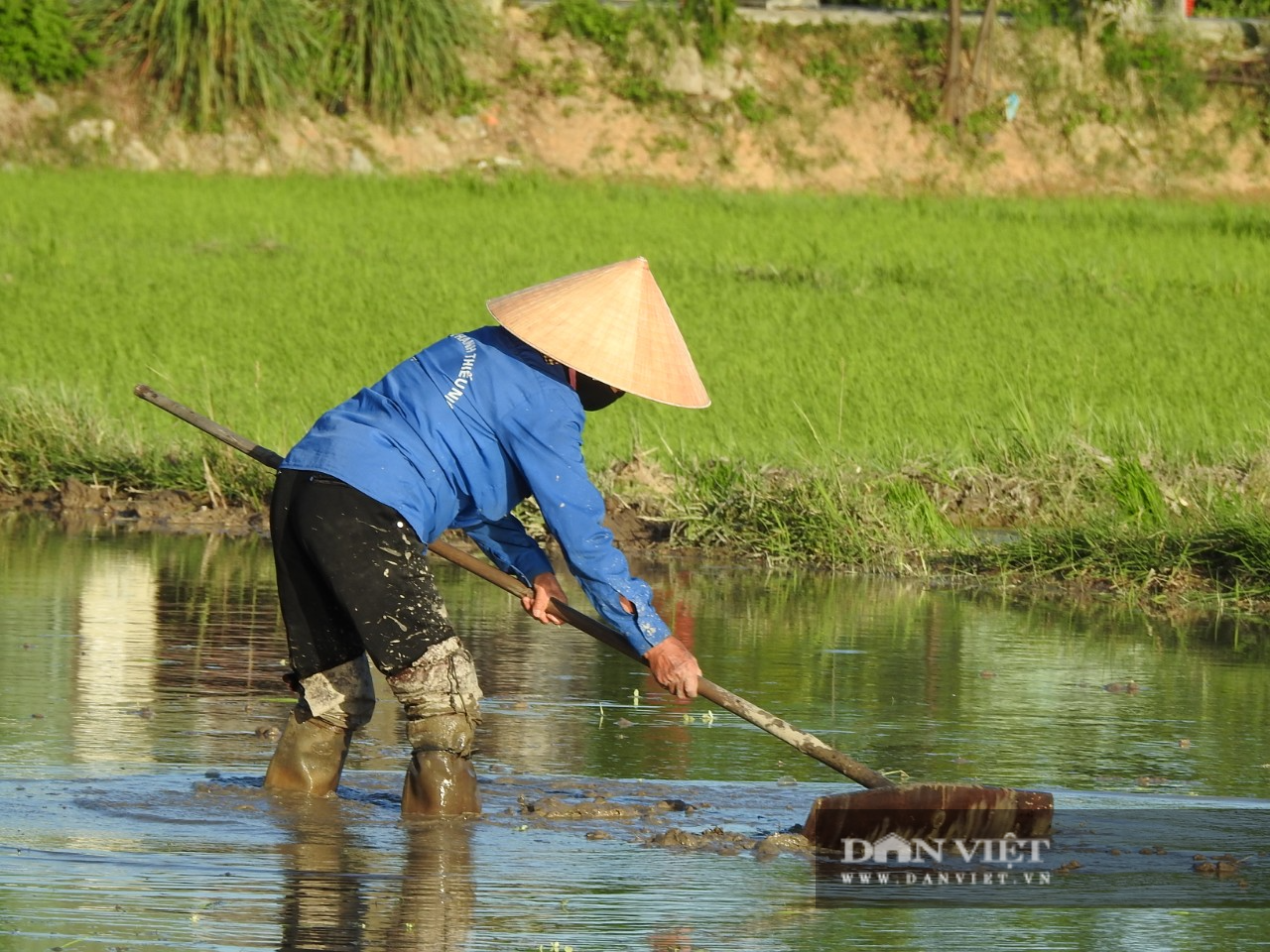 Hà tĩnh: Nông dân tích cực phục hồi sản xuất vụ Hè Thu sau bão số 2 - Ảnh 5.