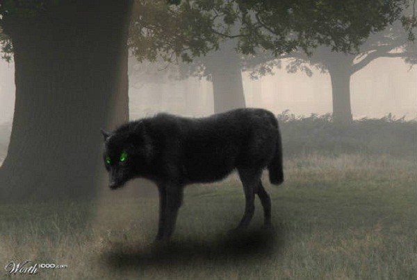 Bóng ma chó đen khổng lồ ở Anh: Truyền thuyết và sự thật rùng rợn - Ảnh 2.