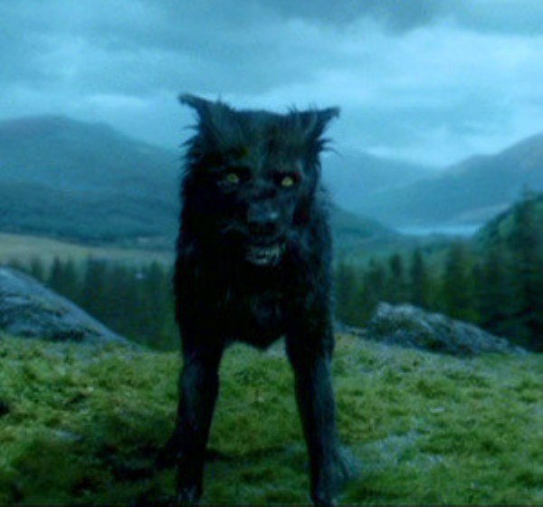 Bóng ma chó đen khổng lồ ở Anh: Truyền thuyết và sự thật rùng rợn - Ảnh 4.
