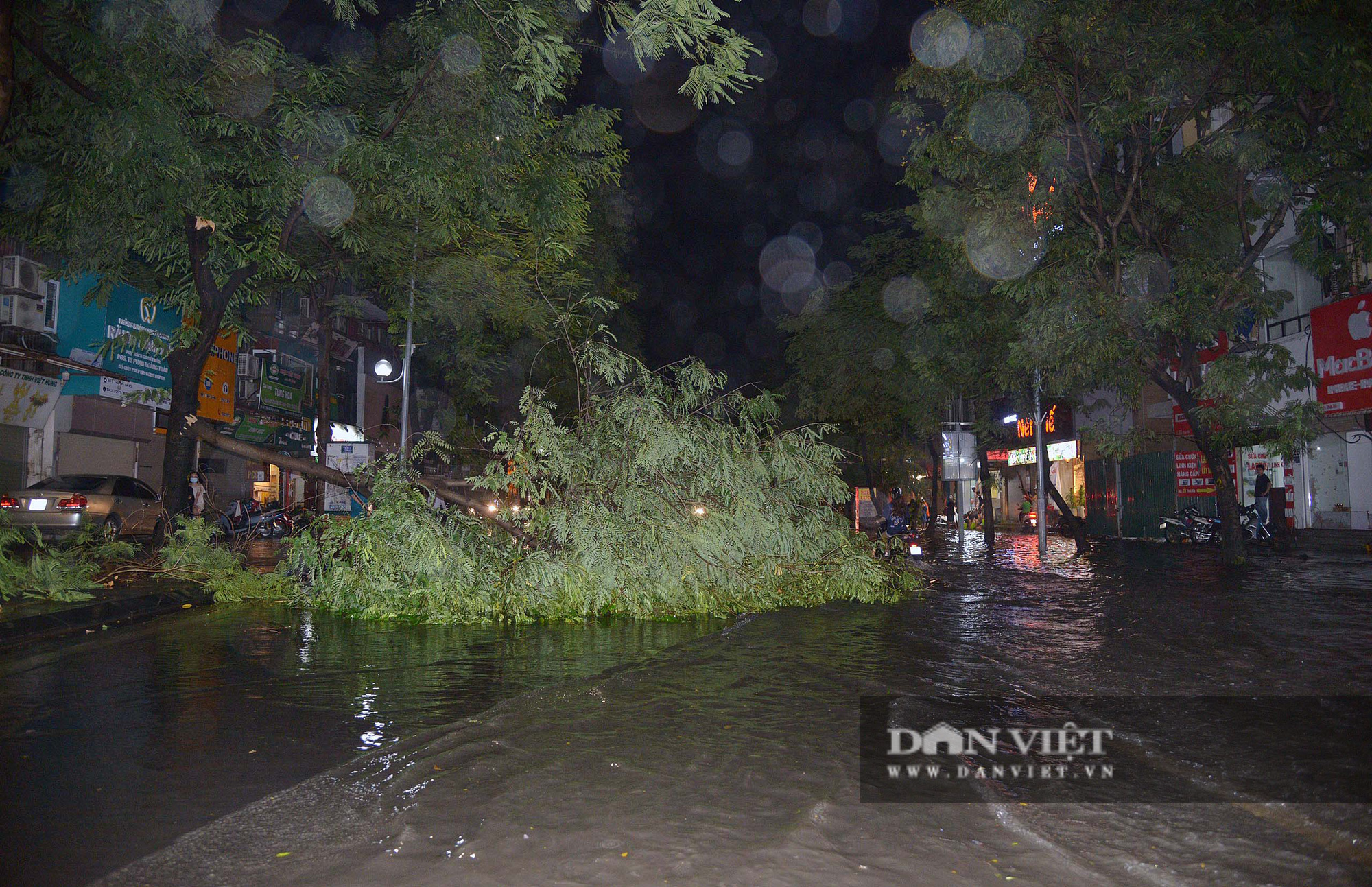 Mưa lớn, cây đổ và ngập khắp phố phường Hà Nội - Ảnh 1.