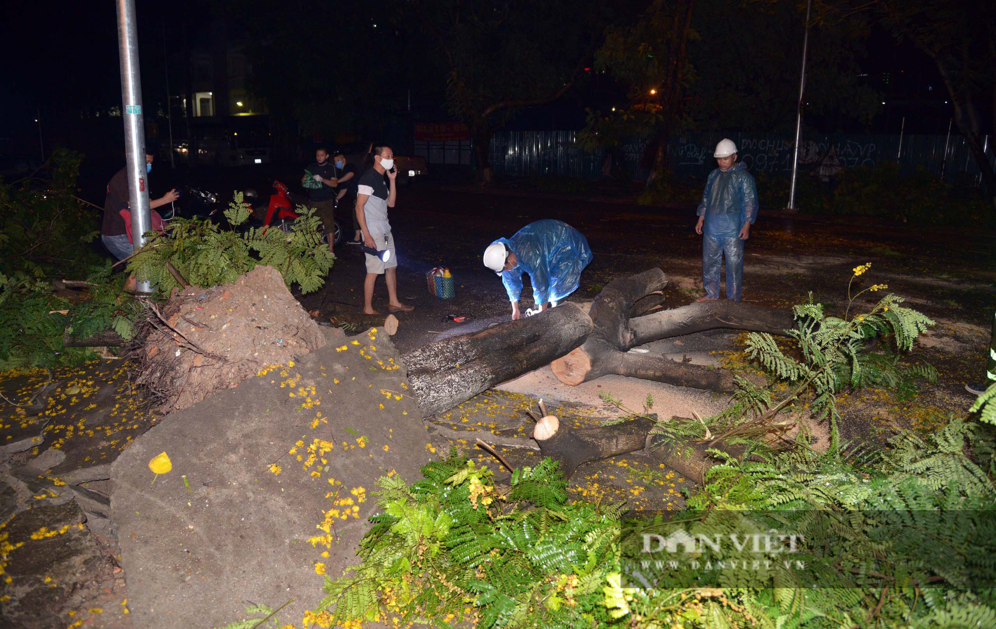 Mưa lớn, cây đổ và ngập khắp phố phường Hà Nội - Ảnh 2.