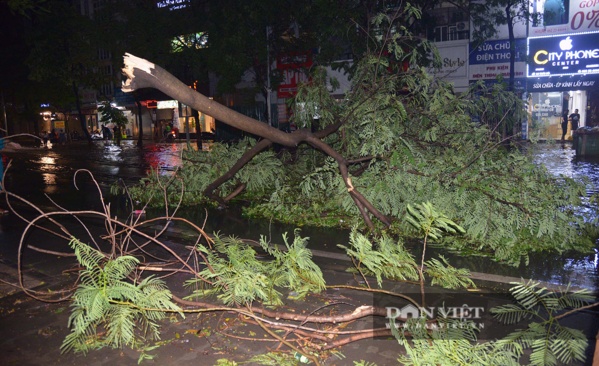 Mưa lớn, cây đổ và ngập khắp phố phường Hà Nội - Ảnh 3.