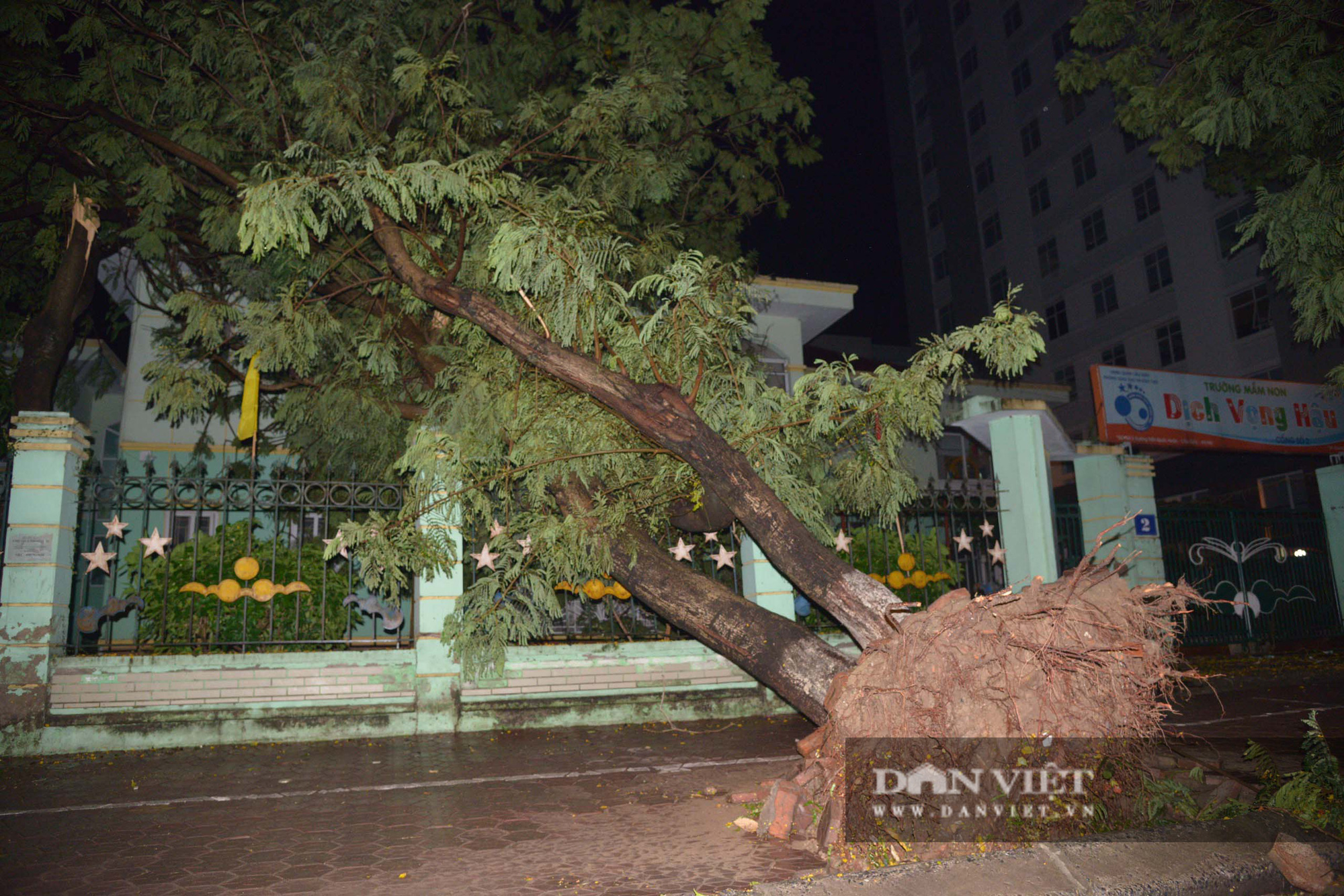 Mưa lớn, cây đổ và ngập khắp phố phường Hà Nội - Ảnh 5.