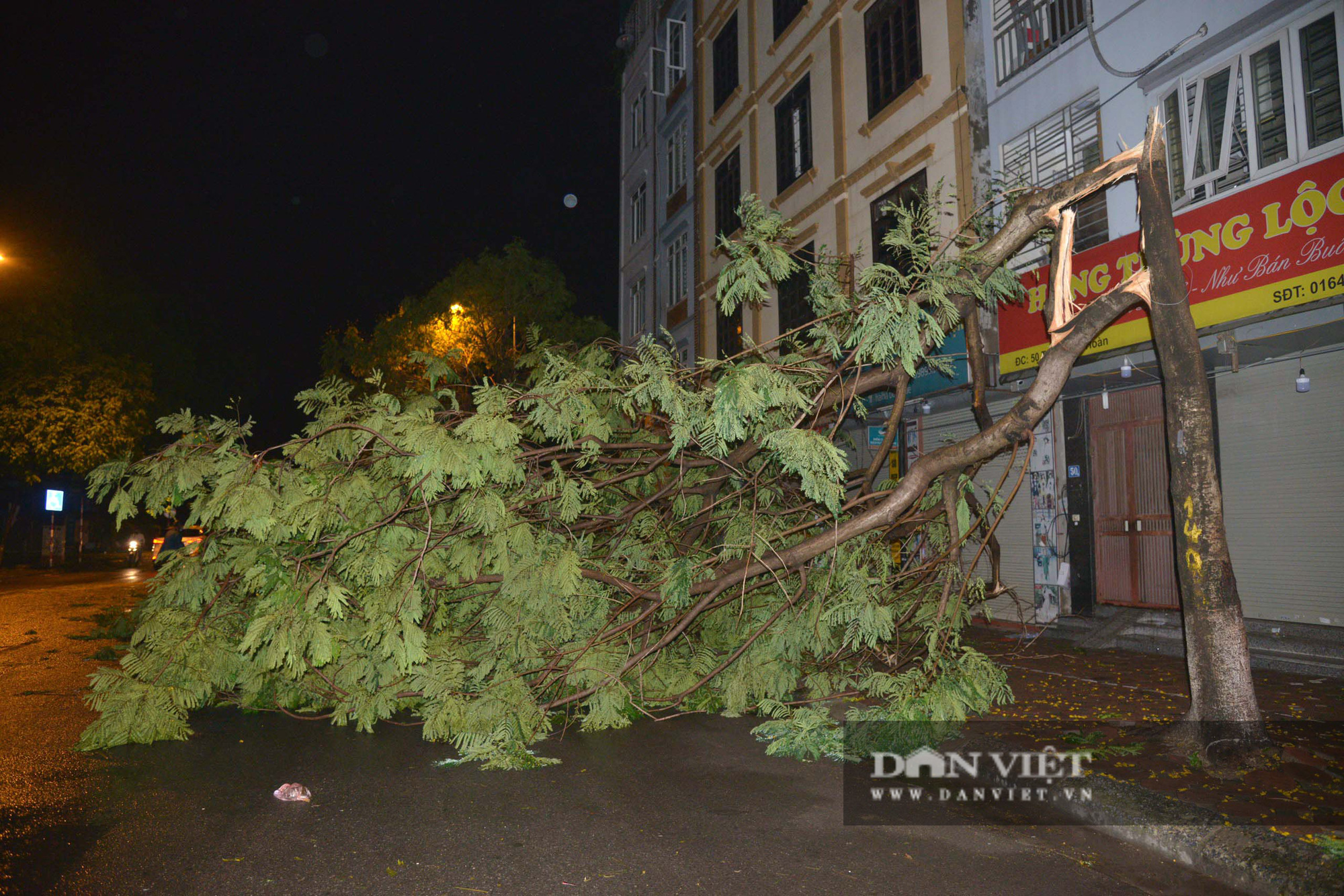 Mưa lớn, cây đổ và ngập khắp phố phường Hà Nội - Ảnh 6.