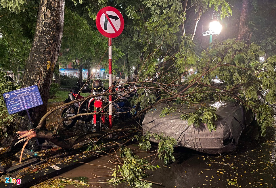 Mưa lớn, cây đổ và ngập khắp phố phường Hà Nội - Ảnh 8.