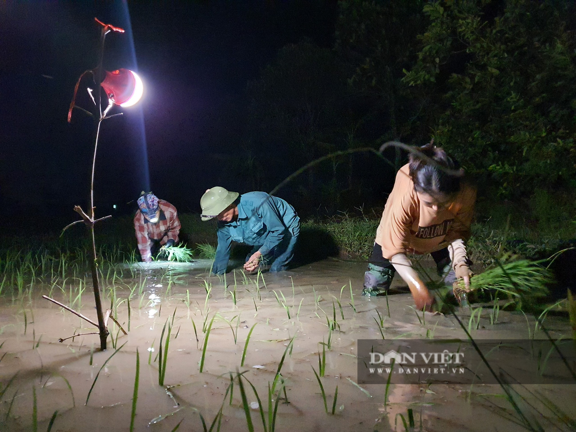 Thanh Hoá: Nắng nóng 40C nông dân Thanh Hóa chong đèn đi cấy lúa đêm  - Ảnh 4.