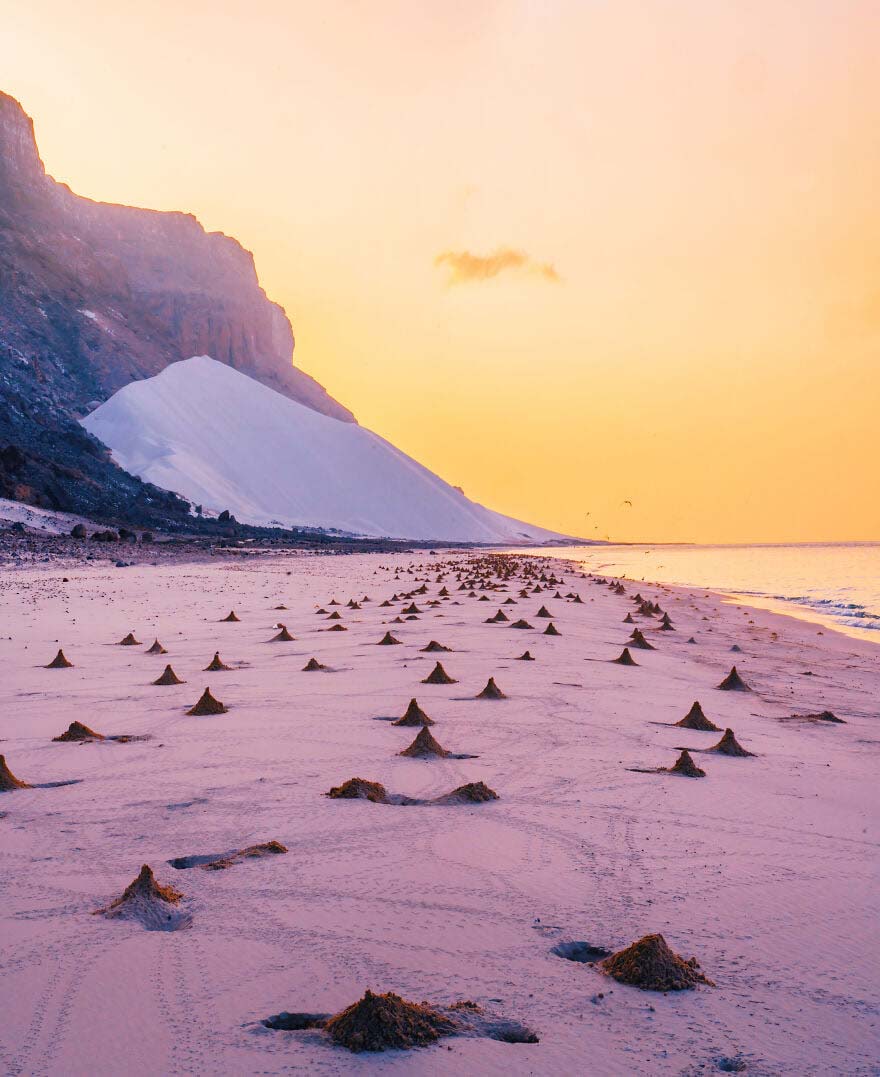 Đảo Socotra – một vùng đất &quot;quái lạ&quot; khiến khách du lịch giật mình - Ảnh 6.