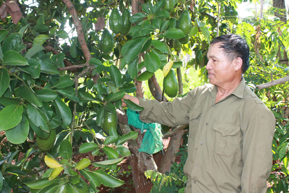 Những thương binh vượt khó làm giàu - Ảnh 1.