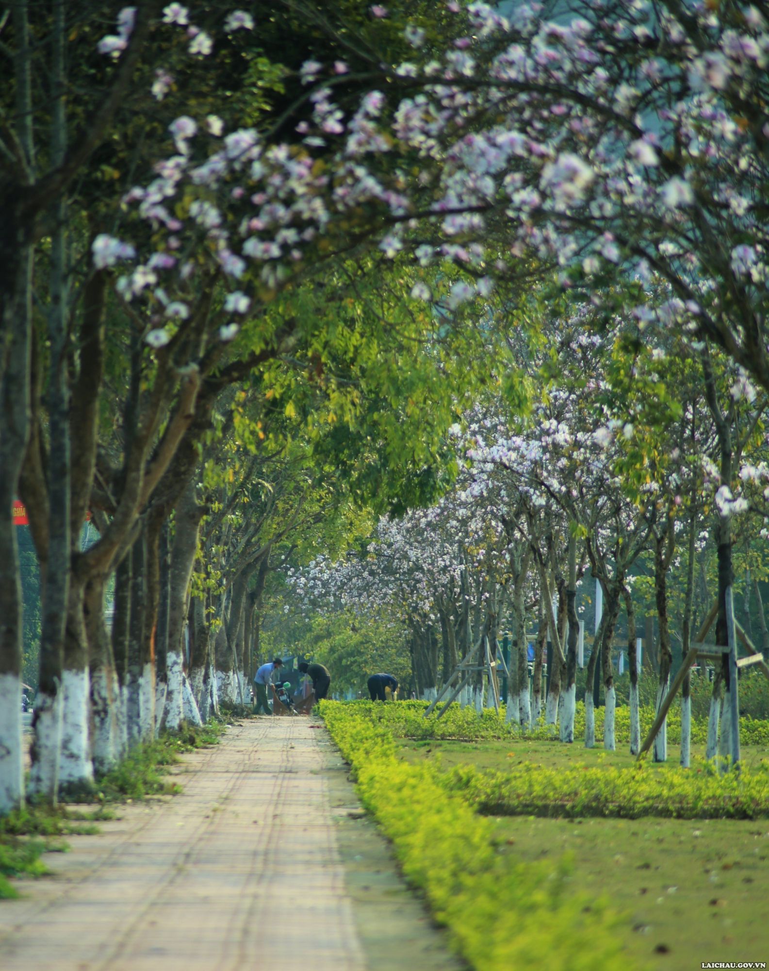 Lai Châu mở cửa trở lại hoạt động dịch vụ kinh doanh, du lịch nội địa - Ảnh 1.